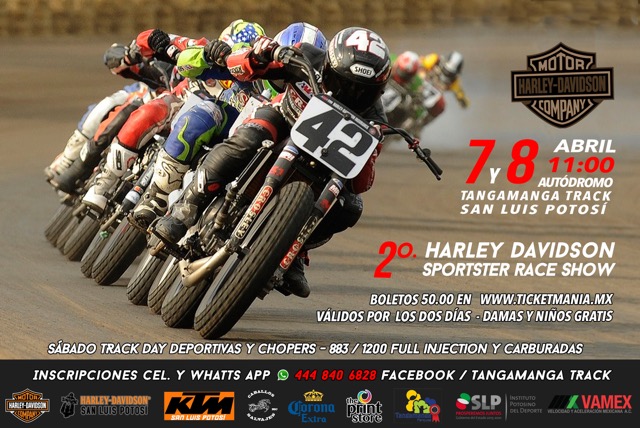 2a. Harley Davidson Sportster Race Show